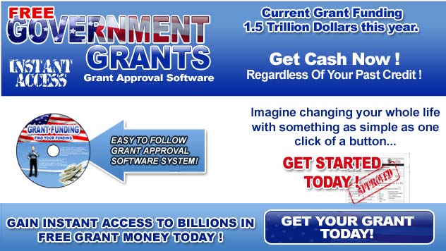 new-grant-2 Government Grants
